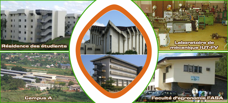 Programme de Master Professionnel en management des collectivités territoriales Décentralisées (MP-MCTD) - Université de Dschang