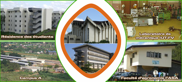 Professional Master's in Management of Decentralized Territorial Communities (MP-MCTD) at the University of Dschang