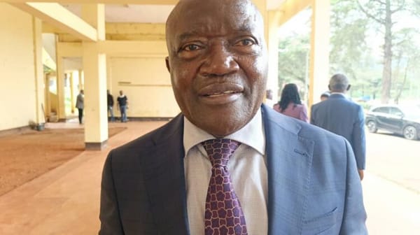 Renowned Jurist Appointed as Director of Institute of Fine Arts - University of Dschang